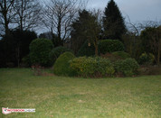Referenzkamera: Nikon D80