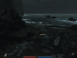 Risen: nur in Details Low flüssig