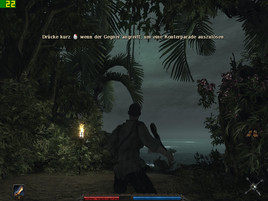 Risen in 1366 x 768, High, 16.7 FPS