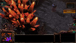 StarCraft 2: unspielbare 22 fps bei Medium