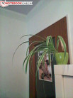 Frontkamera mit VGA