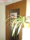 Hauptkamera mit 5 MP und Foto-Licht