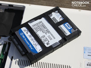 Die 500 GB Western Digital HDD ist in eine Gummi-Dämpfung eingepackt.