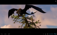 1080p-Videos lassen sich ohne Probleme abspielen.