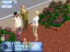Sims3 Medium 26fps