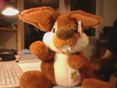 Webcam-Foto 640 x 480