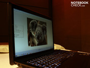 des Vaio VPC-F21Z1E.