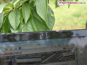 1.3-MP-Webcam
