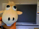 Webcam 640x480 Testbild