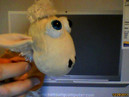 Webcam 640x480 Bildrauschen