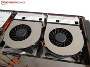 Zwei GeForce Grafikkarten sorgen für jede Menge Power.