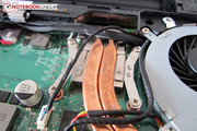 Die Nvidia-Grafikkarte versteckt sich unter diversen Kabeln.