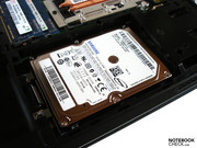 Die Samsung-HDD bietet eine ordentliche Performance.