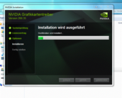 mit der ForceWare 266.35 (Beta) ausgeführt