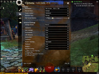 Low: 1.024 x 768, Best Performance Preset