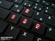 Die WASD-Tasten sind rot markiert.