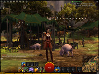 Low: 1.024 x 768, Best Performance Preset