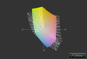 Nexoc M507II vs. sRGB (Gitter)