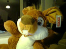 Webcam 640 x 480, gut fokussiert