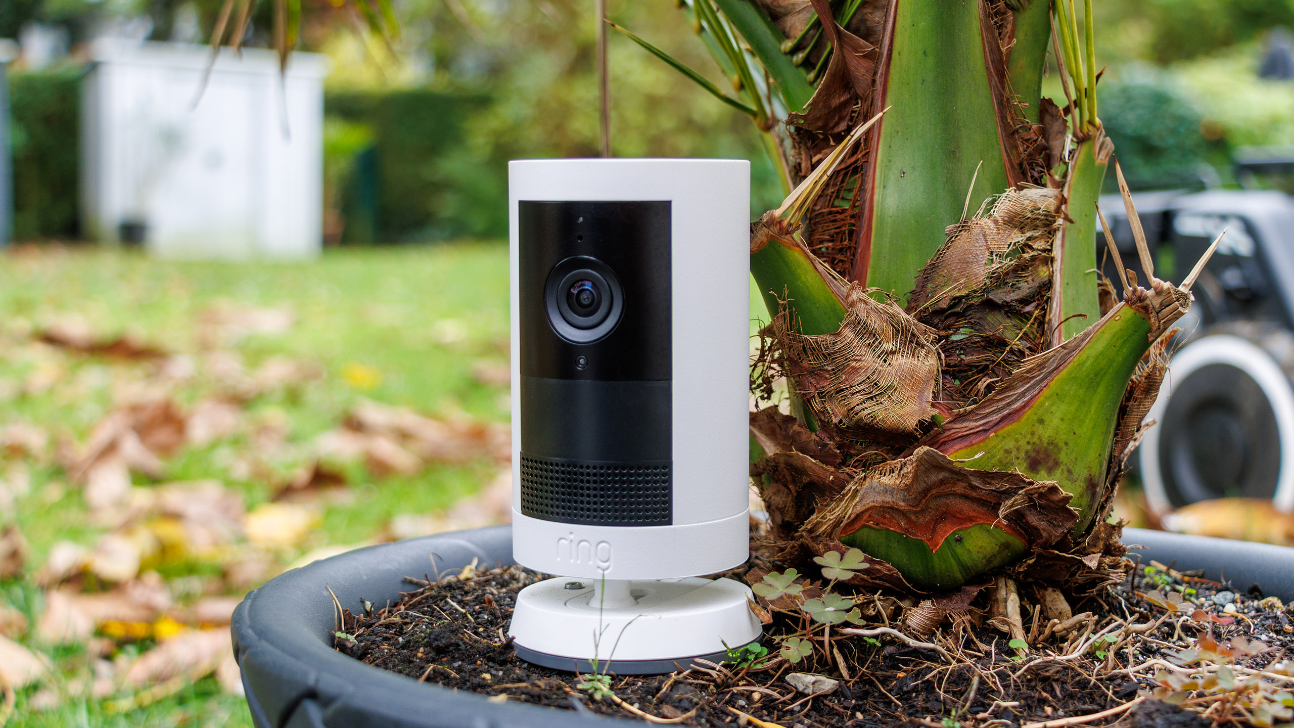 (Bildquelle: Daniel Schmidt)