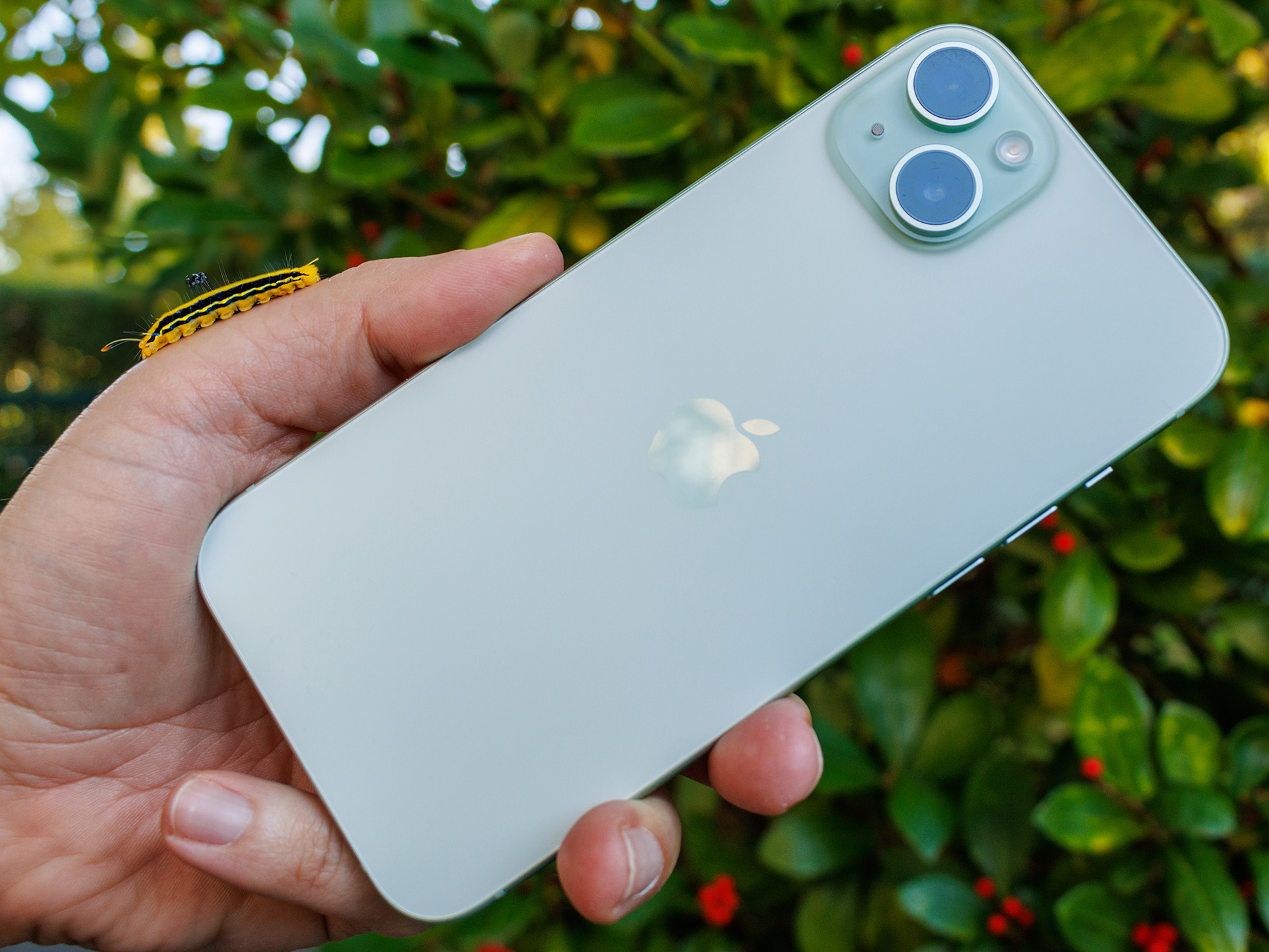 Test Apple iPhone 15 Plus – Das iPhone mit extra-großem Display und starkem  Akku -  Tests