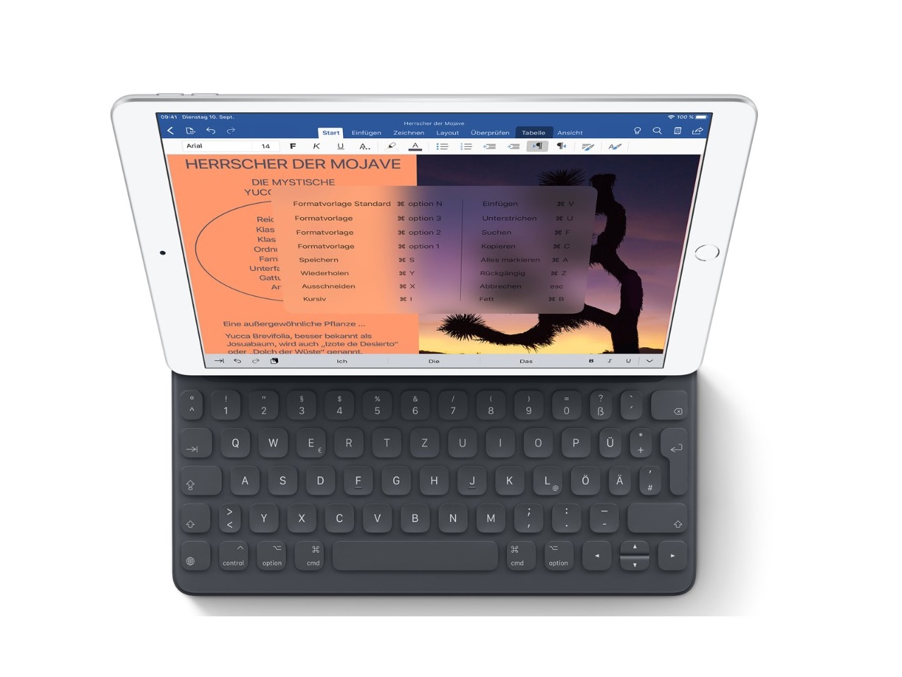 Apple Repariert Ipad Air 19 Mit Bestimmtem Displaydefekt Kostenlos Notebookcheck Com News