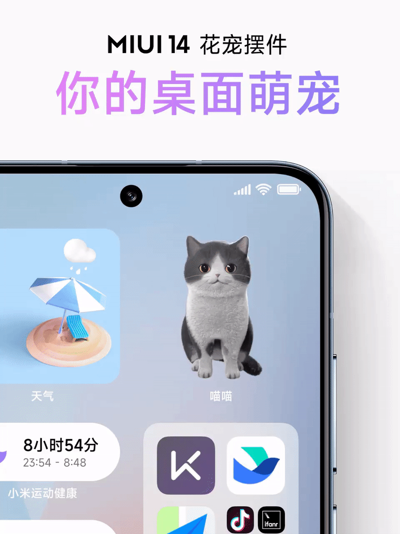 Xiaomi 13 MIUI 14 Katzen-Widget