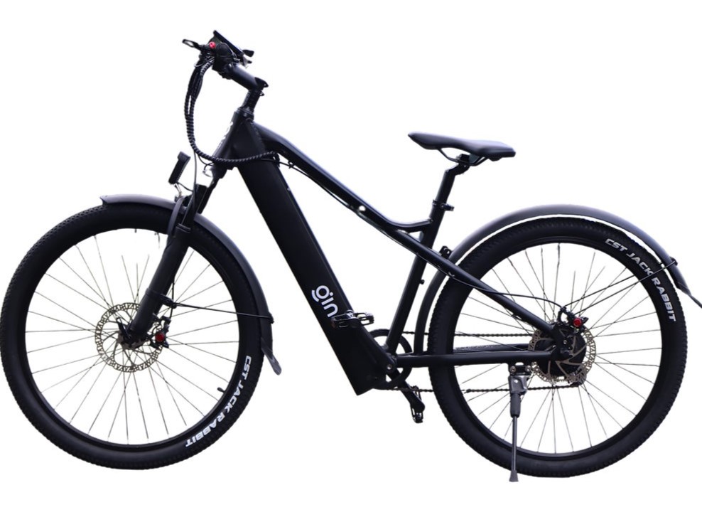 Gin X Praktisches EBike ist günstiger erhältlich und fährt mit