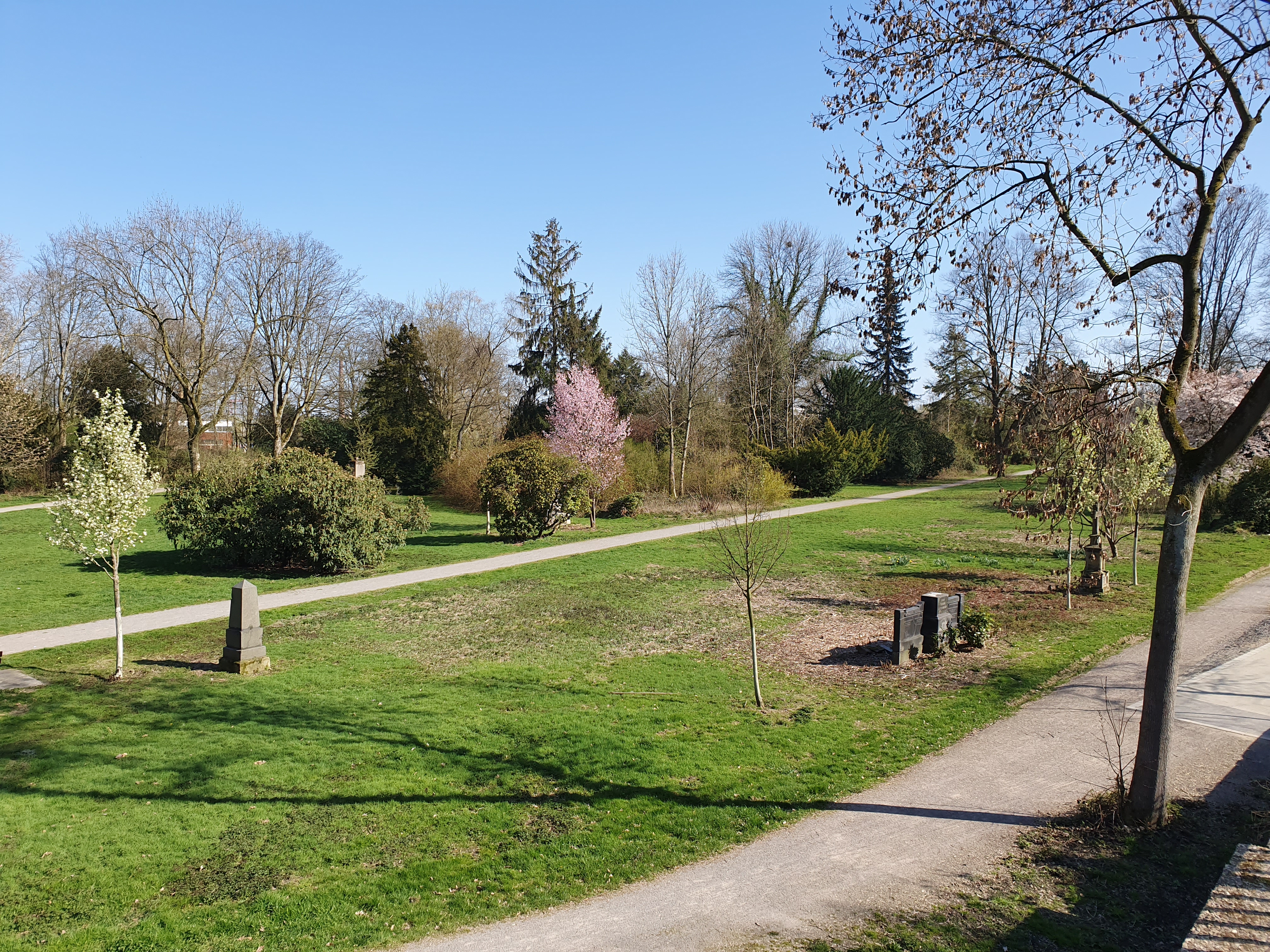 Samsung Galaxy S2 Kamerafehler Youtube