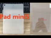 Eine Schutzhülle und ein Screen-Protector zeigen das traditionelle iPad mini 5-Design.