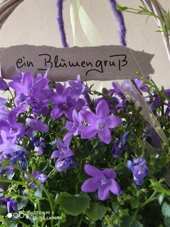 Xiaomi Mi 9 - 2x-Zoom