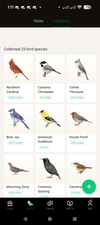 Aufschlüsselung der Vogelbesuche