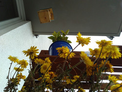 Aufnahme Frontkamera