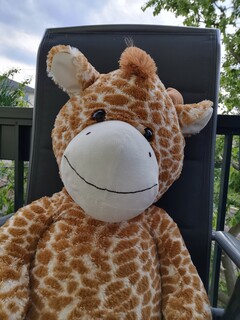 Huawei P30 | Foto-Modus