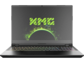 Schenker XMG Pro 15 mit RTX 3080 im Laptop-Test: Ultradünner und leichter High-End-Allrounder