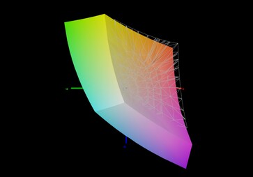 XMG Apex 15 vs sRGB (91 %)