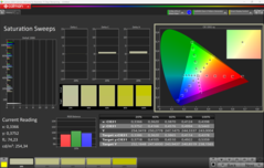 CalMAN Sättigung (P3)