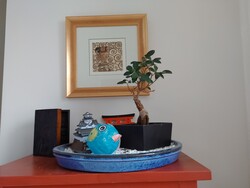 Aufnahme Frontkamera