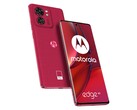Das Motorola Edge 40 wird offenbar in vier Farben angeboten, inklusive "Viva Magenta". (Bild: Roland Quandt)