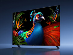 Die reguläre TV-S-Pro-2027-Reihe mit RGB-Mini-LED wird maximal mit 98 Zoll erhältlich sein. Zu sehen ist ein Fernseher aus der Serie auf einem Werbebild
