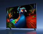 Die reguläre TV-S-Pro-2027-Reihe mit RGB-Mini-LED wird maximal mit 98 Zoll erhältlich sein. Zu sehen ist ein Fernseher aus der Serie auf einem Werbebild