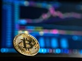 Nicht nur Bitcoin, sondern auch das Shiba Inu Token konnte kürzlich hohe Gewinne einfahren (Bild: André François McKenzie)