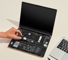 Der Framework Laptop 13 erhält ein Upgrade auf AMD Strix Point. (Bildquelle: Framework)