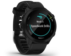 Die Forerunner 55 ist eine gute GPS-Smartwatch für Sparfüchse (Bildquelle: Garmin)