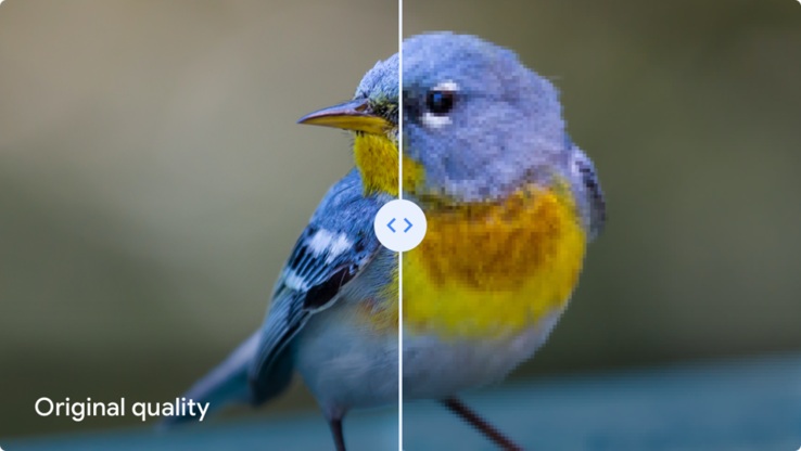 Die rechte Hälfte des Bildes soll zeigen, wie Fotos aussehen, die in "hoher Qualität" komprimiert wurden. (Bild: Google, via Forbes)