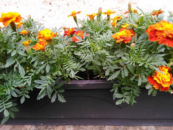 Foto mit der Frontcam