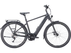 Premio Evo 10 Lite: E-Bike gibt es aktuell mit Rabatt (Bildquelle: Pegasus)