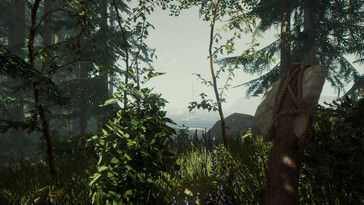 Eine Landschaft und ein Boot in The Forest