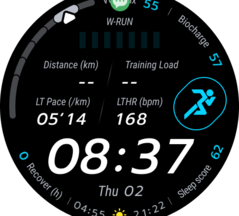 Je nach Watchfaces werden auch weiterführende Informationen angezeigt