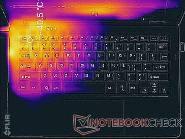 Maximale Last (Oberseite)